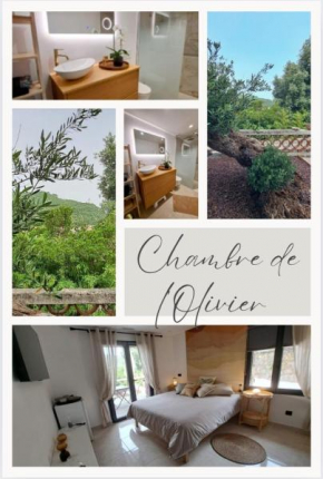 Chambre de l Olivier